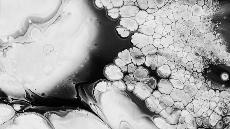 WHOLE BRAIN ENGINEERING visual data 2